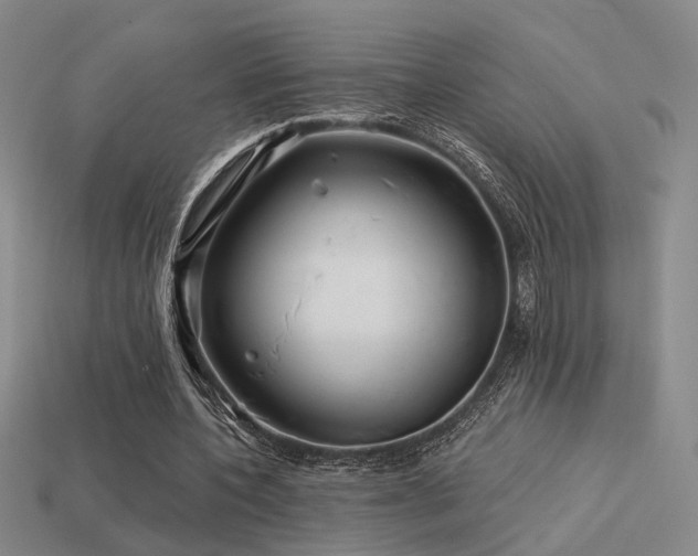 X0000113530532200909181137