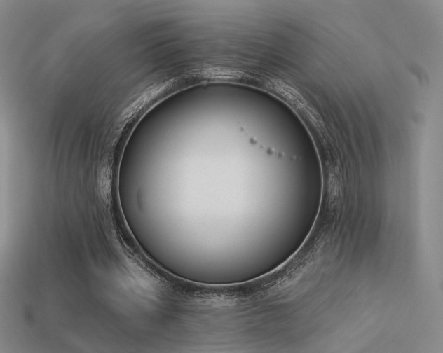 X0000113530533200909181137