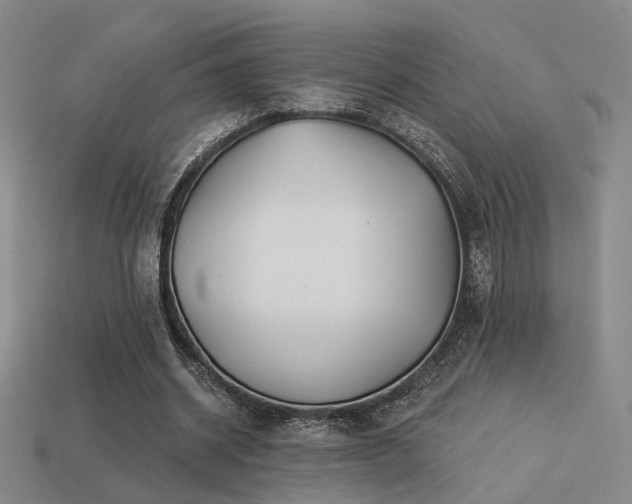 X0000113530534200909181137