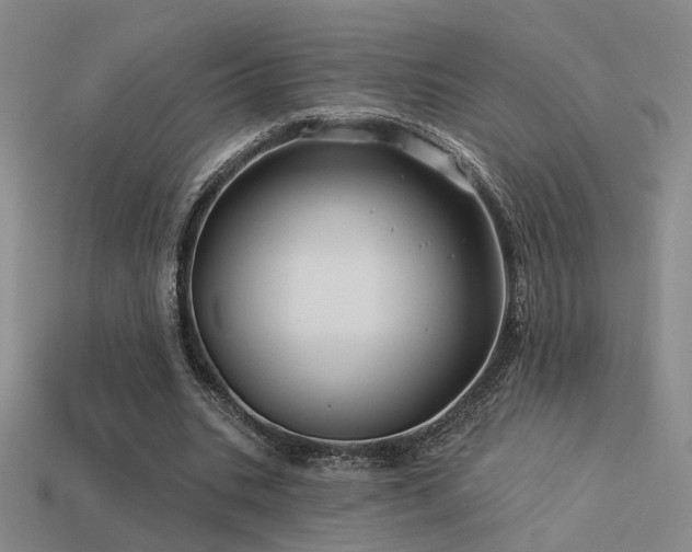 X0000113530535200909181137