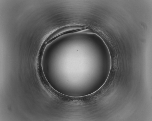 X0000113530536200909181137
