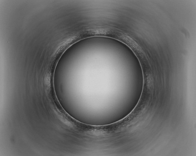 X0000113530537200909181137