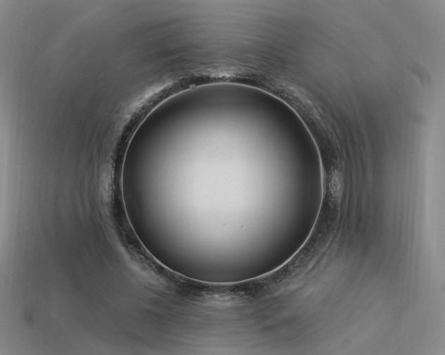 X0000113530540200909181137