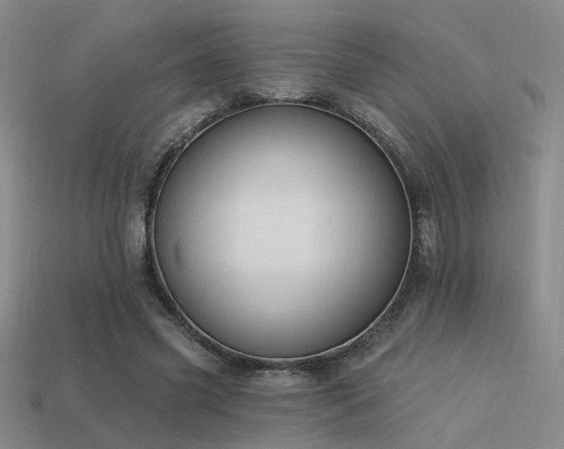 X0000113530541200909181137