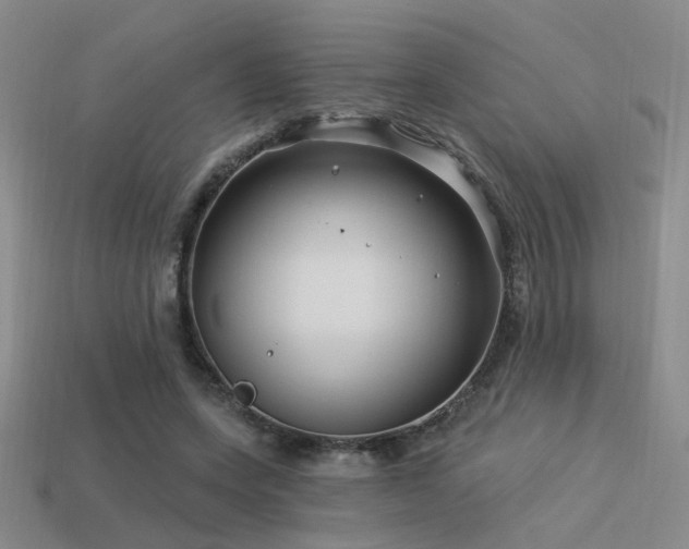 X0000113530543200909181137