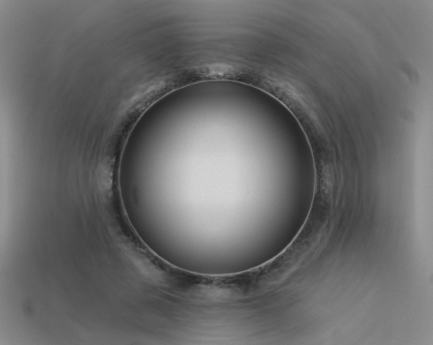 X0000113530545200909181137