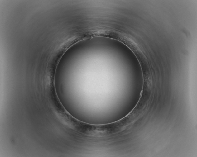 X0000113530546200909181137