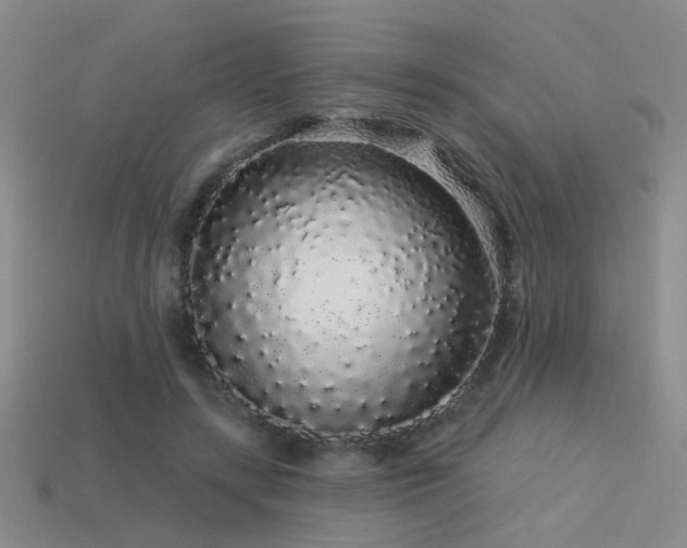 X0000113530547200909181137