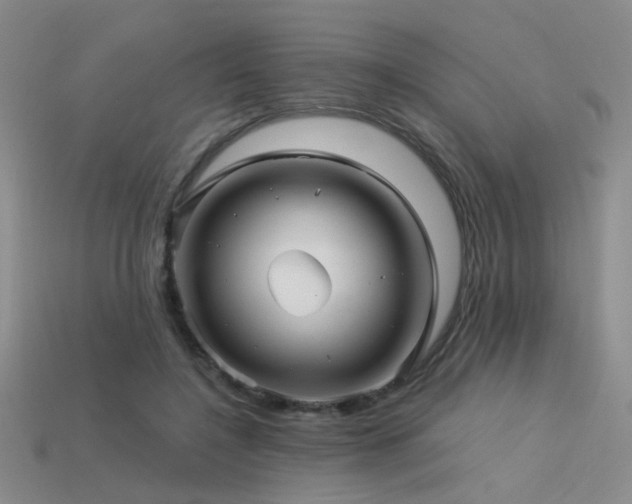 X0000113530548200909181137