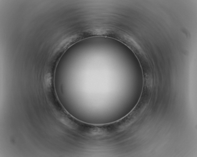 X0000113530549200909181137