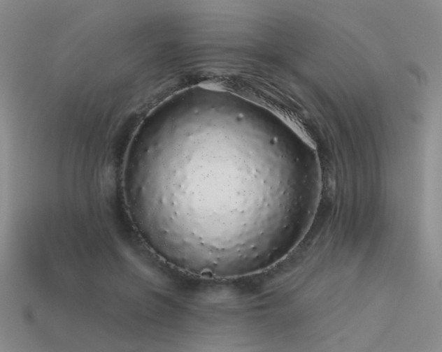 X0000113530551200909181137