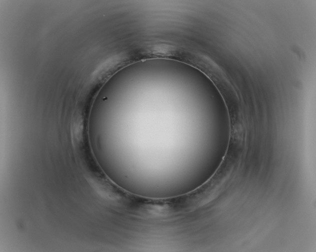 X0000113530552200909181137
