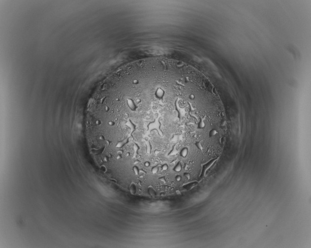 X0000113530553200909181137