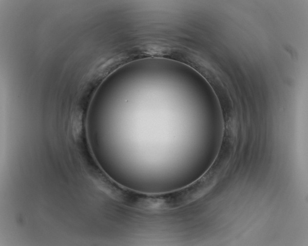 X0000113530554200909181137