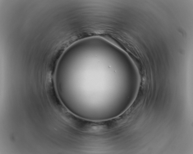 X0000113530555200909181137