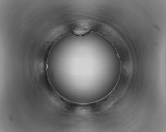 X0000113530556200909181137