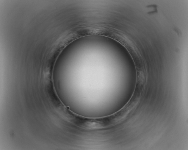 X0000113530557200909181137