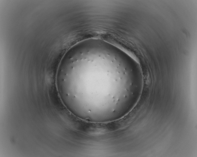 X0000113530559200909181137