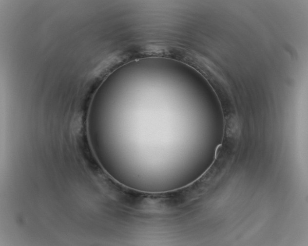 X0000113530560200909181137