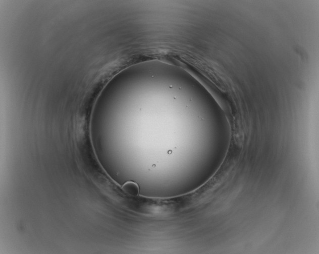 X0000113530563200909181137