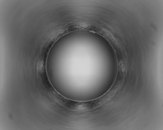 X0000113530564200909181137