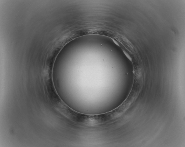 X0000113530565200909181137