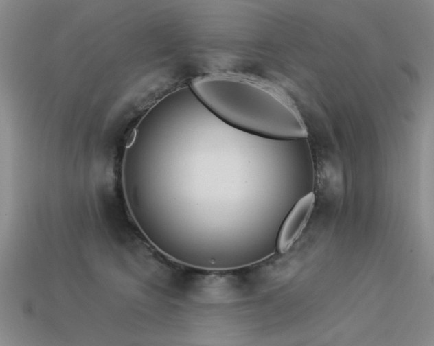 X0000113530566200909181137