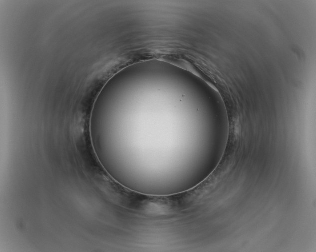 X0000113530567200909181137