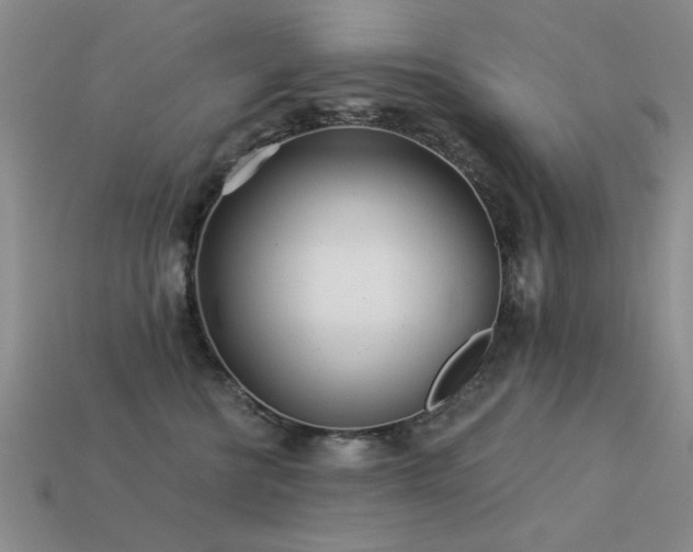 X0000113530570200909181137
