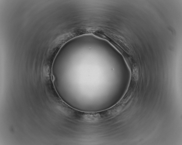 X0000113530571200909181137