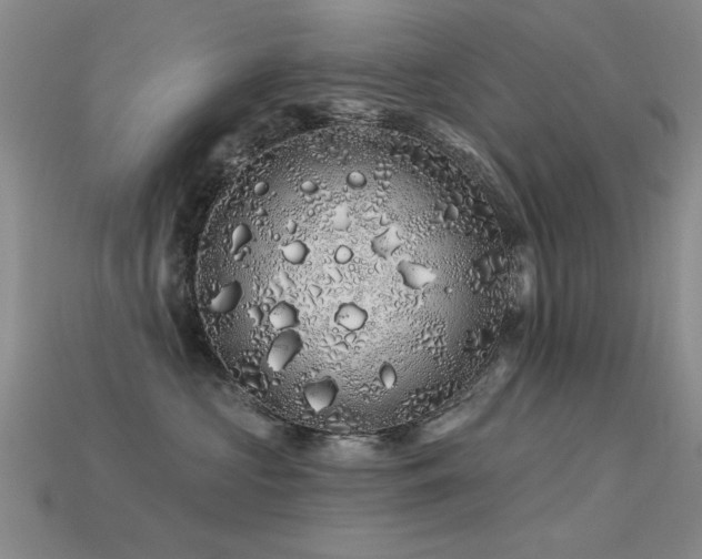 X0000113530573200909181137