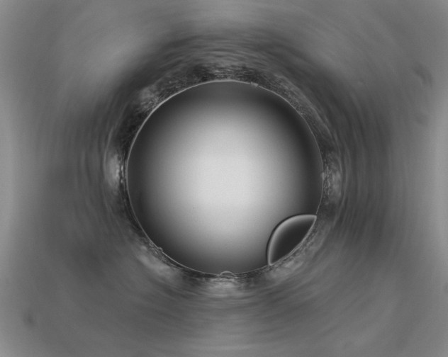 X0000113530574200909181137