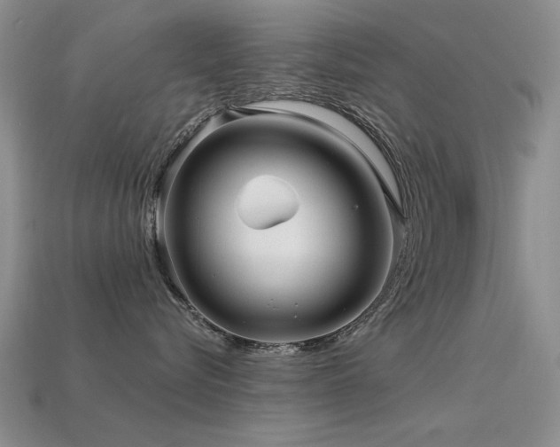 X0000113530576200909181137