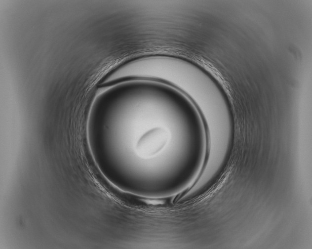 X0000113530577200909181137
