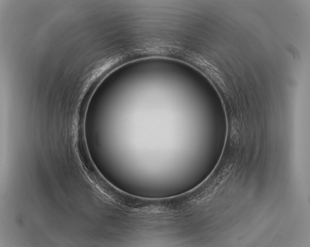 X0000113530578200909181137
