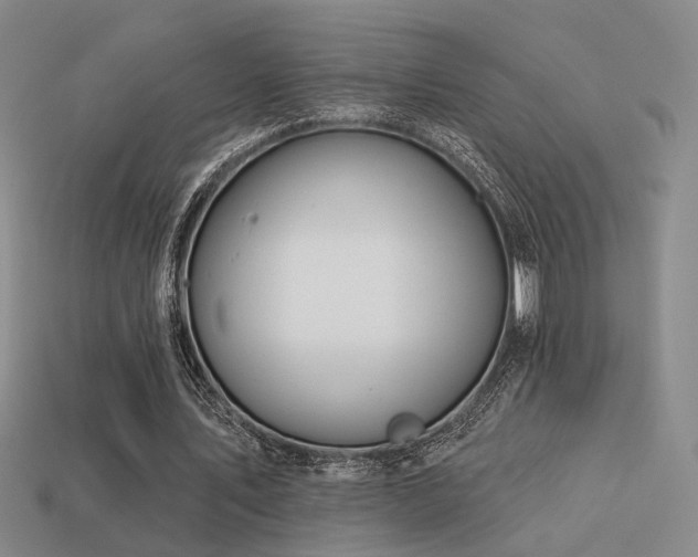 X0000113530579200909181137