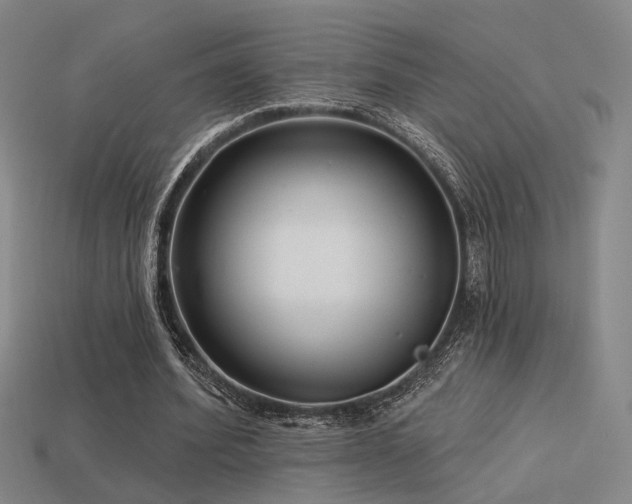 X0000113530580200909181137