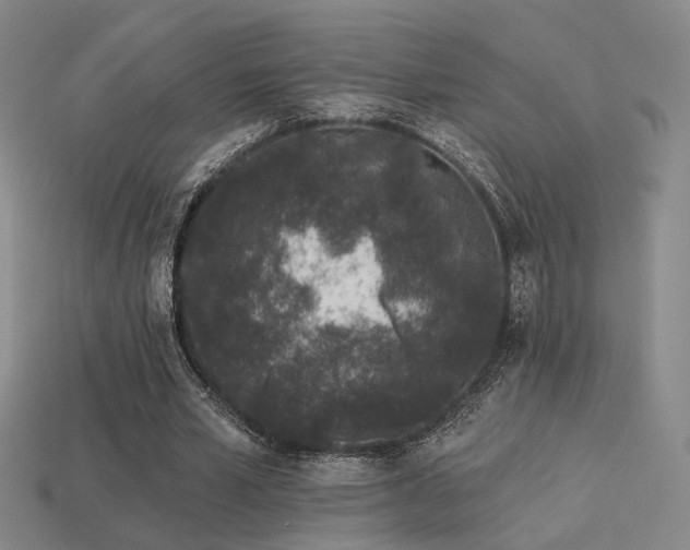 X0000113530581200909181137