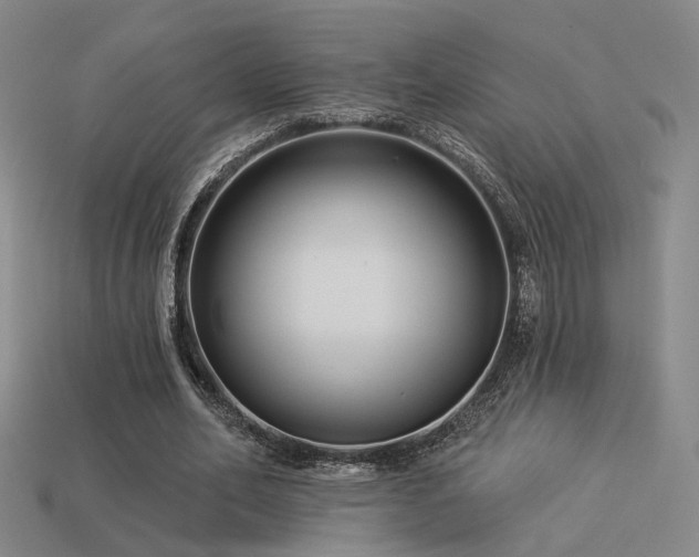 X0000113530582200909181137