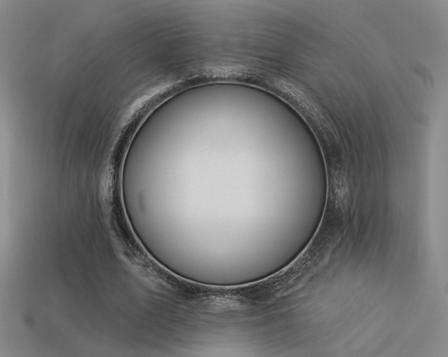 X0000113530583200909181137