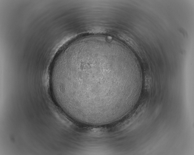 X0000113530584200909181136