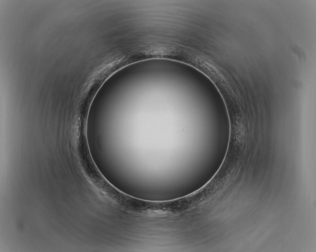X0000113530586200909181136
