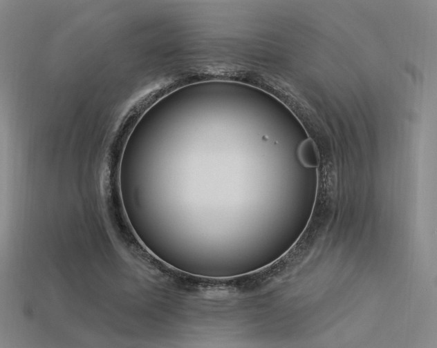 X0000113530587200909181136