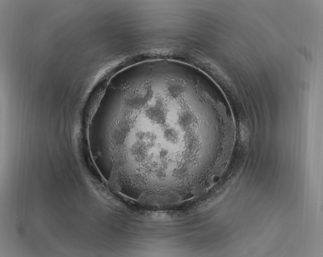 X0000113530588200909181136