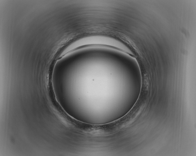 X0000113530589200909181136