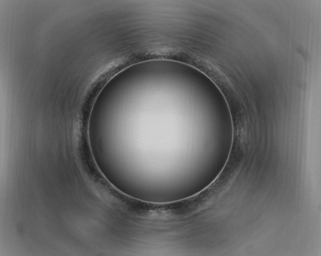 X0000113530591200909181136