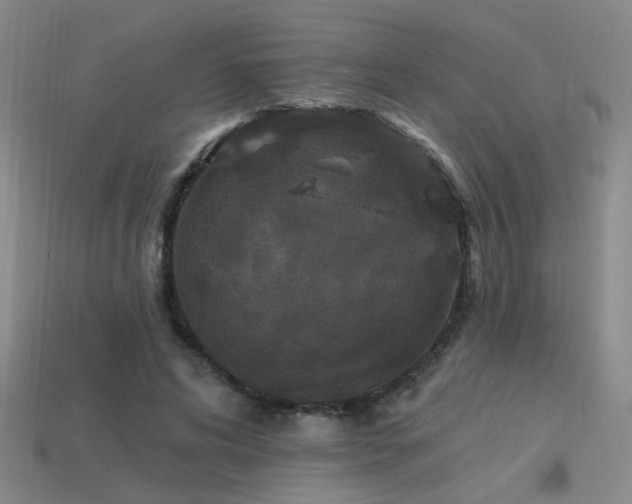 X0000113530592200909181136