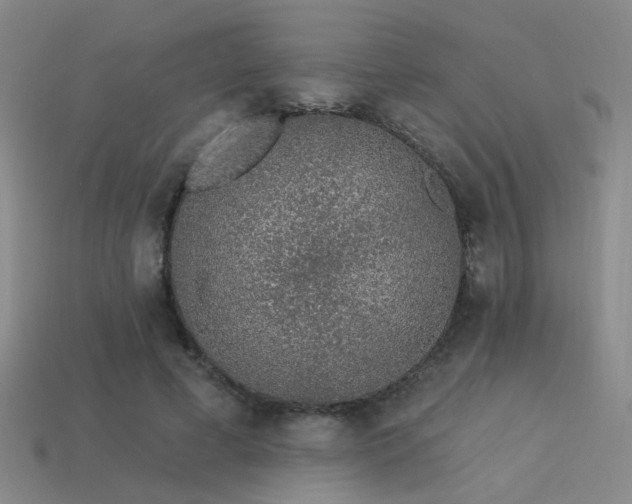 X0000113530593200909181136
