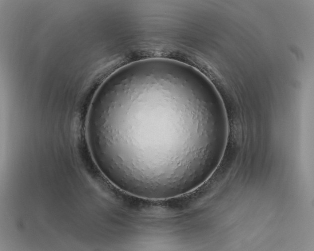 X0000113530594200909181136