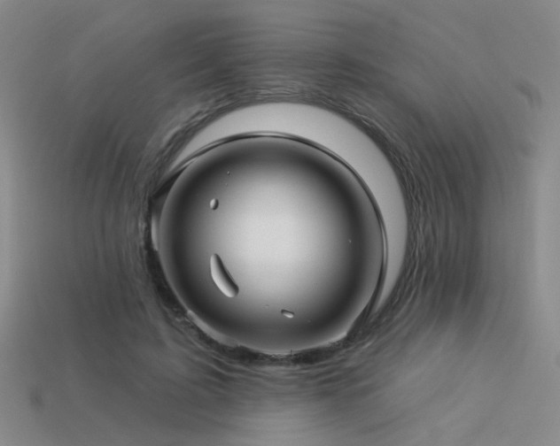 X0000113530595200909181136